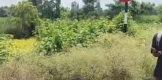 श्रावस्ती में नीलगाय से टकराई बाइक, तीन घायल:दो की हालत गंभीर; बहराइच रेफर