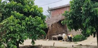 सरयू नदी खतरे के निशान से ऊपर:बस्ती में कई ग्रामीण हर साल विस्थापन को मजबूर