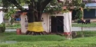 निचलौल में मां काली मंदिर का मार्ग जलमग्न:श्रद्धालुओं को दर्शन-पूजन में हो रही भारी परेशानी