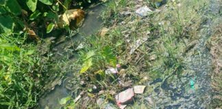 नटवा गांव में सड़क टूटी, जलभराव से परेशानी:ग्रामीणों व स्कूली बच्चों को आवागमन में भारी परेशानी