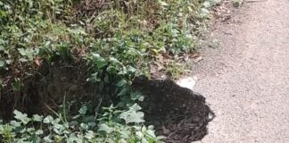 सरयू की कटान से दुबौलिया-महाराजगंज मार्ग टूटा:खतरे का ड़र बना,चार पहिया वाहनों का रास्ता बंद