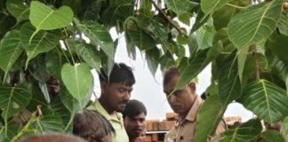 बिजली के खंभे के पास मिला युवक का शव:बस्ती के हरिहरपुर गांव की घटना, पुलिस ने शव कब्जे में लेकर शुरू की जांच