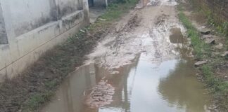 महराजगंज के दीनदयाल वार्ड में जलभराव:राहगीरों को आवागमन में हो रही भारी परेशानी