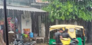 रुधौली विकास क्षेत्र में हुई अच्छी बारिश:धान की फसल को मिला जीवनदान, किसान खुश