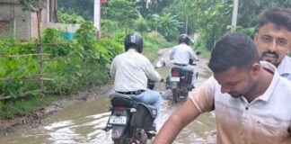 सिसवा बाजार वार्ड-11 की PWD सड़क क्षतिग्रस्त:बेलवा से सोफडा मार्ग पर राहगीर परेशान, मरम्मत की मांग