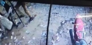 बस्ती में उपनिरीक्षक का वीडियो वायरल:शराब दुकान पर ग्राहकों को लात मारने का आरोप
