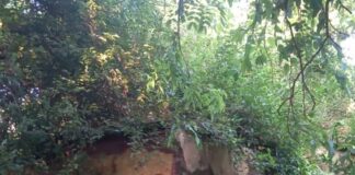 ब्लॉक परिसर में सरकारी आवास बने खंडहर:वर्षों से वीरान पड़े, जर्जर भवनों से हादसे का खतरा