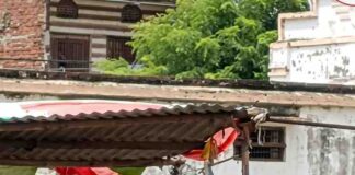 फरेंदा स्कूल में बच्चों से ढुलवाई कुर्सियां:BEO ने कार्रवाई का आश्वासन दिया