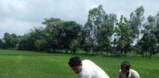 समाजवादी पार्टी के राष्ट्रीय सचिव मसूद आलम ख़ान ने विधानसभा श्रावस्ती के भ्रमण के दौरान कहा कि श्रावस्ती आज भी जीवन की मूलभूत सुविधाओं से कोसों दूर है।
