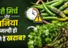 कुछ दिनों में सूख जाते हैं हरा धनिया और मिर्च? एक महीने तक फ्रेश रखने के लिए अपनाएं ये आसान टिप्स