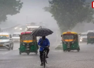मध्य प्रदेश में मानसून एक्टिव, 3 जिलों में भारी बारिश का अलर्ट, जानें आपके जिले में कैसा रहेगा मौसम