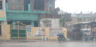 बस्ती के दुबौलिया में तेज बारिश:किसानों को मिली बड़ी राहत, धान की फसल के लिए फायदेमंद