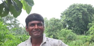 किसानों को मिली राहत, डीजल-समय दोनों की बचत:बस्ती में झमाझम बारिश से धान की फसल को फायदा