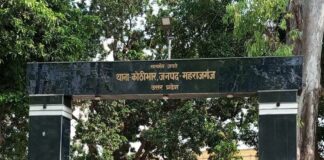 कोठीभार में बेटे-बहू पर बुजुर्ग दंपति से मारपीट का आरोप:संपत्ति विवाद में पुलिस से कार्रवाई की मांग