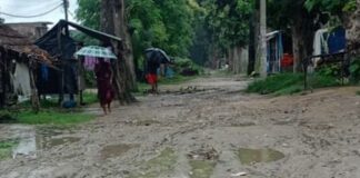 विधायक के आश्वासन के बाद भी सड़क नहीं बनी:फुरसतपुर बाजार सड़क निर्माण में वन विभाग की आपत्ति से देरी