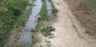 बस्ती में गौर अंडरपास सड़क पर बारिश से आवागमन बाधित:सांसद-विधायक से ग्रामीणों ने की जल्द मरम्मत की मांग