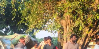 अनियंत्रित बोलेरो पेड़ से टकराई, बड़ा हादसा टला:महराजगंज में सब्जी विक्रेता बाल-बाल बची; चालक फरार
