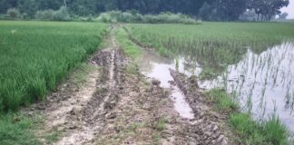 बस्ती साउघाट में कच्ची सड़क से आवागमन बाधित:किसानों को खेतों तक पहुंचने में हो रही परेशानी