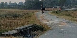 गौरा निपानिया में पुलिया की रेलिंग टूटी:ग्रामीणों को हादसे का डर, कई साल से नहीं हुई मरम्मत