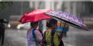 एमपी में कमजोर पड़ा मानसून, 42 जिलों में सामान्य से कम बारिश; 5 अगस्त से बदल सकता है मौसम