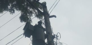 11 हजार वोल्ट तार पेड़ से सटा, हादसे का खतरा:दुबौलिया के बभनपुरा गांव में बिजली लाइन से ग्रामीण परेशान