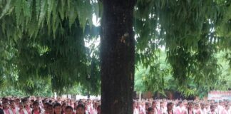दिग्विजयनाथ कॉलेज में नशा मुक्ति पर जागरूकता कार्यक्रम:शिक्षक बिनोद विमल ने युवाओं को स्वस्थ भारत का संकल्प दिलाया