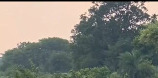 बस्ती में फिर चढ़ने लगी सरयू:कटान तेज, गांवों पर मंडराने लगा खतरा; किसानों को चारे की चिंता सताने लगी