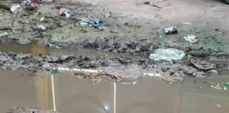 दुबौलिया-महाराजगंज मार्ग पर जलभराव, सड़क बदहाल:स्कूली बच्चे, मरीज, किसान प्रभावित; तत्काल मरम्मत की मांग