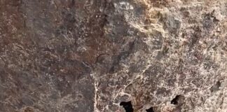 महराजगंज में 8 साल पुराना जर्जर बिजली पोल:NH-730 पर कभी भी गिर सकता है, बड़े हादसे का खतरा