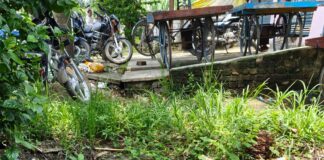 लालपुर टोला में नाली का पानी सड़क पर बहता:निकासी न होने से आवागमन बाधित, गंदगी से ग्रामीण परेशान