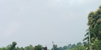 फरेंदा के लिंक रोड क्षतिग्रस्त से आवागमन प्रभावित:ग्रामीण टूटी सड़क पर चलने को मजबूर, मरम्मत की मांग