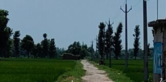निचलौल में कोल्हुआ-सोहसा सड़क जर्जर, राहगीर चोटिल:गड्ढों से बाइक-साइकिल सवार गिर रहे, ग्रामीणों ने मरम्मत की मांग की