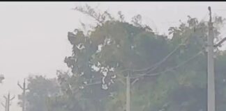 कंजड़वा माइनर नहर का रास्ता जर्जर:आवागमन में भारी परेशानी, अतिक्रमण और गहरे गड्ढे बन रहे मुसीबत