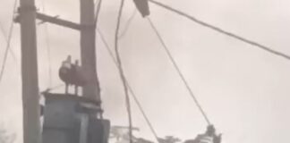 बारीजेत गांव में ट्रांसफॉर्मर में लगी आग:ओवरलोड के कारण केबल जला, आपूर्ति बहाल