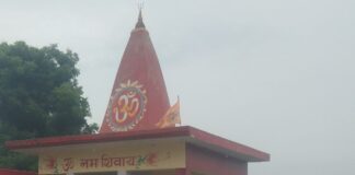 बस्ती के काली मंदिर में नाग पूजा पर दुग्धाभिषेक:भक्तों ने नाग देवता और माता काली की पूजा की