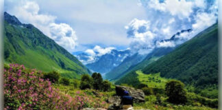 उत्तराखंड में फूलों की घाटी घूमने का सबसे अच्छा समय क्या है?