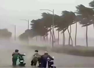 मौसम 4 अगस्त: आज 17 राज्यों में मूसलाधार बारिश की चेतावनी