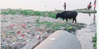 गोमती में गिर रहे 45 नाले, होगी कार्रवाई